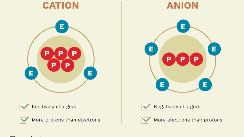 Phân biệt cation và anion